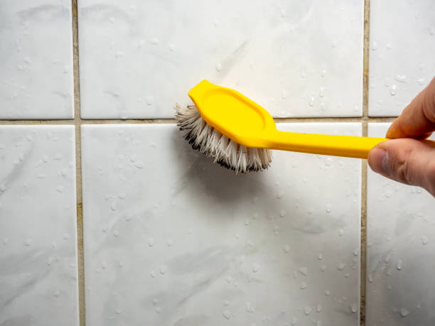 Best Mold Testing and Inspection Services in Bayard, NM