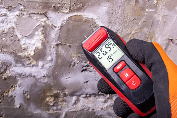 Best Mold Remediation for Specific Building Types in Bayard, NM