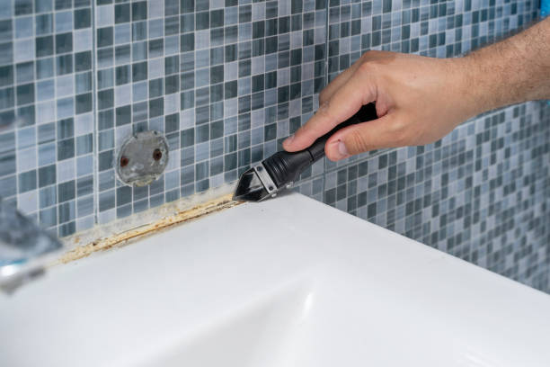 Best Kitchen Mold Remediation in Bayard, NM